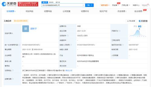 阿里新設智能服務公司，拓展大數據與信息技術咨詢業務